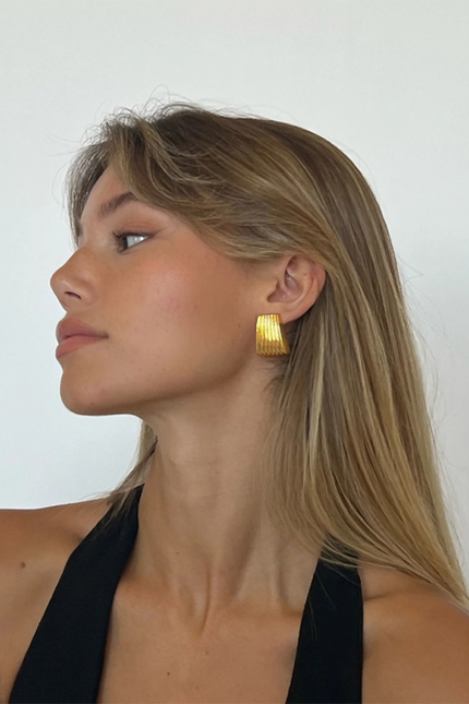 Striped trapezoidal earrings with special lines